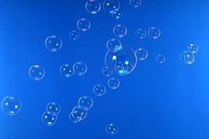 神奈川で見つける！バリアフリー＆ペット共葬が可能な霊園ガイド