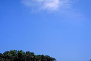 注目を浴びている永代供養について