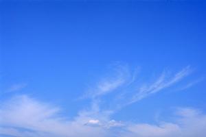 川越で選ぶ家族葬の最適プラン！安心の料金とサービスを徹底解説