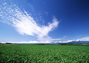 藤枝市の信頼できる葬祭サービス【富士葬祭 藤枝御苑】の特徴と店舗情報