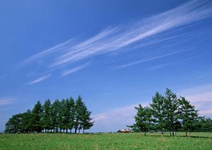 静岡県内の家族葬・火葬・葬儀場の低価格プランとおすすめ店舗一覧