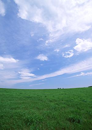 浜松市の信頼と実績を誇る富士葬祭 小豆餅：家族葬から直葬まで幅広い葬儀プランを提供