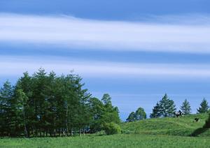 浜松市中央区の家族葬・斎場なら【公式】家族葬のタクセル住吉｜安心低価格の少人数専門葬儀場