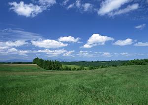 手厚い葬儀を執り行う大阪ペット霊園社
