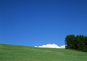 川越で信頼できる葬儀会社を探すなら