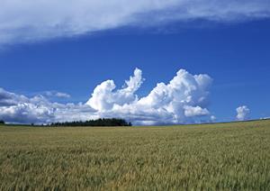 静岡市清水区の家族葬専門斎場「家族葬のタクセル上原」：安心低価格の葬儀サービスと便利なアクセス情報
