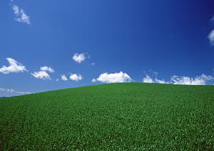 さいたまの家族葬を成功させるための完全ガイド｜費用やプランを徹底解説