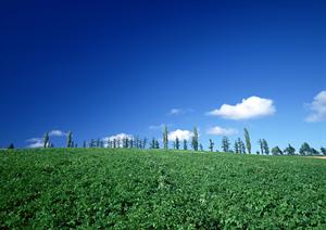 静岡県富士宮市に新規オープン！家族葬のタクセル宮原が提供する安心低価格の家族葬・直葬プラン
