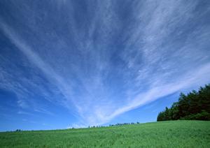 家族葬を行うのならお勧めはこちら