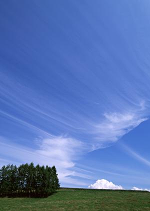 静岡県浜松市中央区の信頼と実績の葬儀会場【家族葬のタクセル有玉南町】2024年5月待望の新規オープン