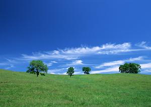 浜松市浜名区に新しくオープンした家族葬対応の富士葬祭 浜北沼｜安心・信頼の葬儀サービス