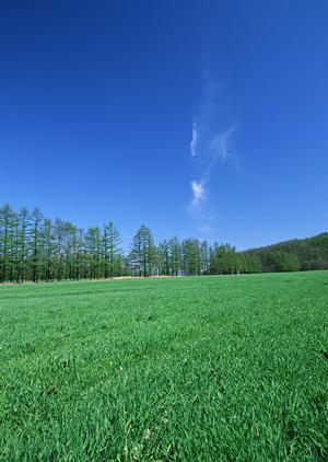 静岡県富士宮市にある信頼の葬儀場「富士葬祭 三園平」の特徴とサービス内容