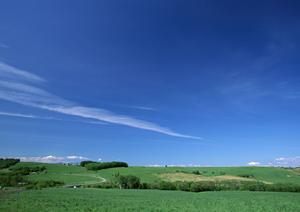 静岡県の家族葬・低価格葬儀を実現する【家族葬のタクセル】の詳細ガイド