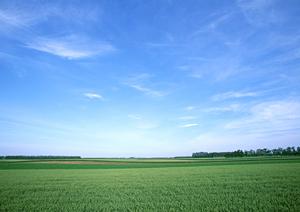 403 Forbiddenエラーに関する完全ガイド：原因と対処法、予防策を詳しく解説