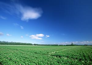 静岡市で安心・低価格の家族葬を実現！家族葬のタクセル新伝馬の詳細ガイド