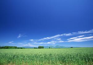 西東京市で信頼できる葬儀社を見つけるためのポイントとは？