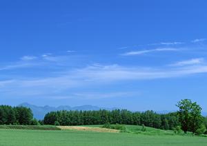 大阪の歴史ある寺院で行う永代供養