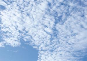 跡継ぎの問題に悩まされない大阪の納骨堂