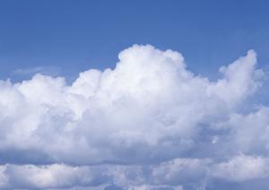 公平性を重視し自由に葬儀社を選定