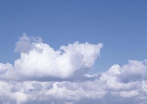 家族葬の開催にお勧めの葬儀会社です