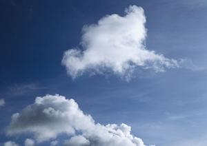 様々な葬儀のスタイルとシンプルな火葬式