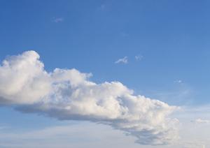 浅草で見つける安心の墓所！家族の供養を手軽に行うための完全ガイド
