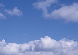 栃木県佐野市で高品質な葬儀サービスを提供する【さがみ典礼 佐野】の詳細情報と特徴