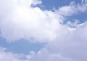 鹿児島での葬式をスムーズに行うための完全ガイド：家族葬から費用節約プランまで