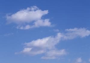 浅草にある東本願寺のご紹介です