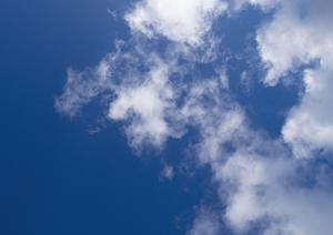 酒田市で火葬後すぐに納骨もできる