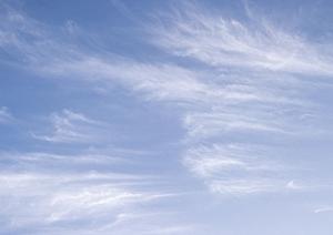 2025年最新版：台東区の永代供養の選び方と安心できる供養方法