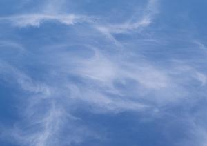 富士市で信頼の葬儀サービスを提供する「富士葬祭 富士瓜島」：特徴・料金・店舗情報の全て