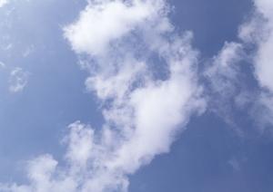 堺市で家族葬するならファミーユが便利