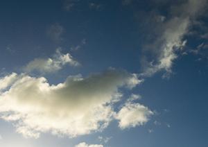 自然豊かな場所で葬儀がおこなえる寺