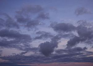 浜松市の信頼できる葬祭サービス【富士葬祭 高林】：家族葬から公営斎場まで包括的にサポート