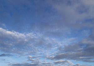 自然豊富な寺院だからできること