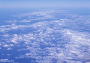 静岡市駿河区に新規OPEN！家族葬に最適な斎場・葬儀場「家族葬のタクセル西中原」の特徴と利用メリット