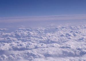 静岡県にあるおすすめ納骨堂のある医王寺