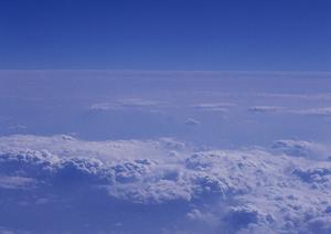 名古屋で人気の有る永代供養墓について